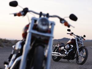 Harley Davidson: Dyna Wide Glide