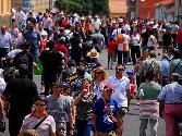 Ampliar imagen