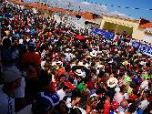 Ampliar imagen
