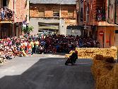Ampliar imagen