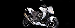 Ediciones especiales de Kawasaki