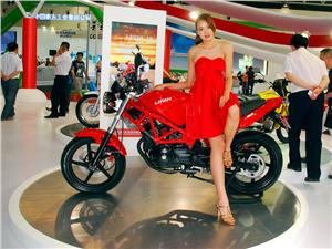 Ampliar imagen
