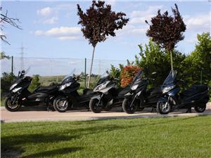 Ampliar  imagen