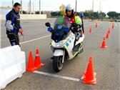 Ampliar imagen