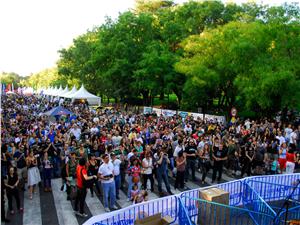 Ampliar imagen
