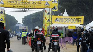 Pingüinos 2012