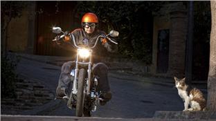Harley Davidson Sportster Seventy-Two