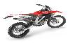 Foto 4 de la moto APRILIA RXV