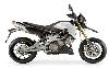 Foto 4 de la moto APRILIA SMV