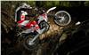 Foto 3 de la moto BETA RR