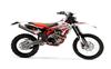 Ficha BETA RR 350 4T Enduro