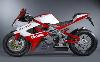 Foto 8 de la moto BIMOTA DB7
