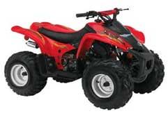 Foto principal de la moto BRP DS