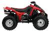 Foto 3 de la moto BRP DS