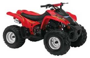Foto principal de la moto BRP DS 90 en 