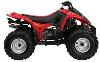 Foto 2 de la moto BRP DS