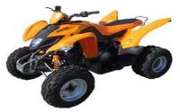/fichas_tecnicas/brp/goes/220/2006-1755.htm