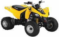 /fichas_tecnicas/brp/ds/250/2009-4832.htm