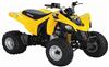 Ficha BRP DS 250