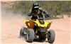 Foto 4 de la moto BRP DS