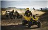 Foto 5 de la moto BRP DS