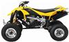 Foto 4 de la moto BRP DS