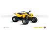Foto 2 de la moto BRP DS