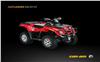 Foto 4 de la moto BRP OUTLANDER