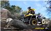 Foto 6 de la moto BRP RENEGADE