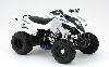 Ficha CPI XS 250