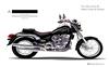 Foto 2 de la moto DAELIM Daystar