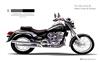 Foto 5 de la moto DAELIM Daystar