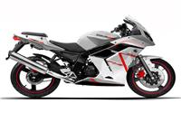 /fichas_tecnicas/daelim/roadwin/250r_fi/2010-4686.htm