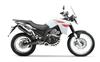 Foto 4 de la moto DERBI Terra