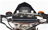 Foto 3 de la moto GOES G