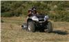 Foto 4 de la moto GOES Max