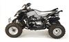 Foto 7 de la moto GOES S
