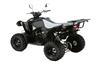 Foto 2 de la moto GOES S