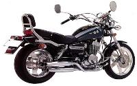 /fichas_tecnicas/hammel/chopper/250/2006-1967.htm