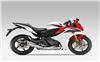 Foto 2 de la moto HONDA CBR