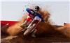 Foto 9 de la moto HONDA CRF