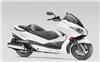 Ficha HONDA FORZA 250 EX