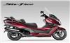 Foto 14 de la moto HONDA SW