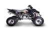 Ficha HYOSUNG RAPIER TE 450