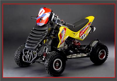 Foto principal de la moto ITALJET Coyote