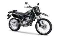 /fichas_tecnicas/kawasaki/klx/250/2010-4375.htm
