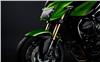 Foto 19 de la moto KAWASAKI Z