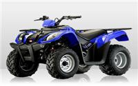 /fichas_tecnicas/kymco/mxu/50_reverse/2009-4684.htm