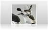 Foto 5 de la moto KYMCO People