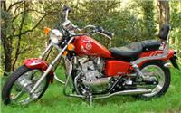 /fichas_tecnicas/leonart/raptor/250/2009-4830.htm